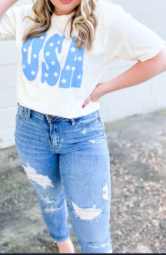 Sky Blue USA Graphic Crewneck Plus Size Patriotic Tee
